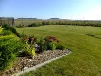 DSCF1373.webp