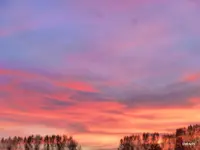 P1060699.webp
