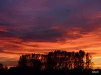 P1060700.webp