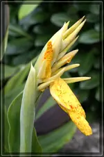 comp_DSC04549.webp