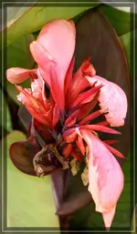 comp_DSC04553.webp