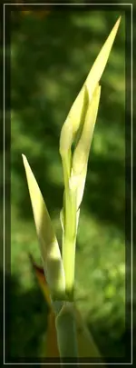 comp_DSC04555.webp
