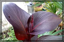 comp_DSC04563.webp