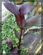 comp_DSC04561.webp