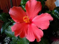 002.webp