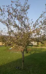 06102011393.webp