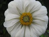 IMG_7126.webp