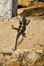 8.10.11 (1 von 66).webp