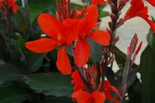 DSC_0196.webp