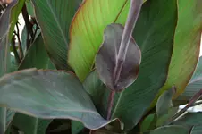 DSC_0197.webp
