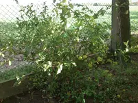 20111010_0273.webp