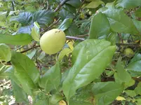 20111010_0277.webp