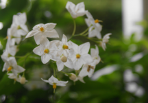 DSC02685(1).webp