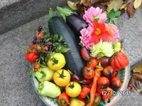 BILD0282.webp