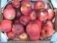 BILD0284.webp