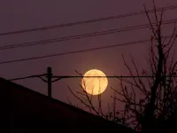 Vollmond-11-10-2011-084.webp
