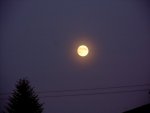 Vollmond-11-10-2011-086.JPG