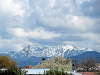 Schnee v.webp