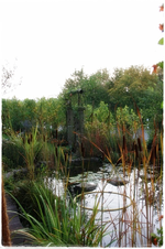 Teich.webp