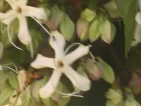 04082011 075.webp