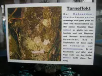 Urlaub 2011 234.webp