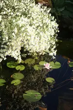 DSC02702.webp
