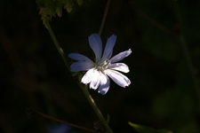 DSC02705.webp