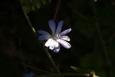DSC02706.webp