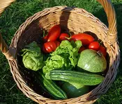 14_10_IV.webp