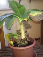 DSC01375.webp