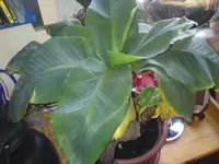 DSC01378.webp