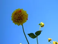 312.webp