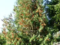 02.webp