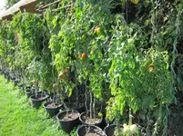 image0011,1.webp