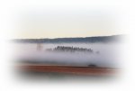Nebel [1024x768].JPG
