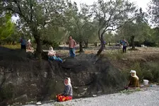 14.10.11 (108 von 148).webp