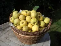 CIMG3632_2.webp