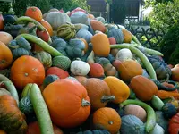 imag0003.webp