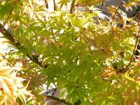 DSCN0969.webp