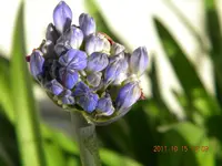 DSCN0970.webp