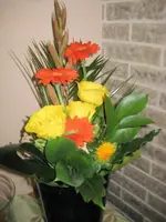 IMG_5827.webp