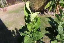 IMG_8984.webp IMG_8984.webp