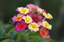 IMG_9074.webp