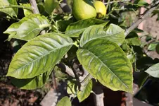 IMG_8983.webp IMG_8983.webp