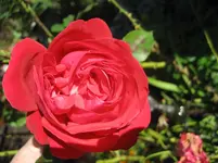 IMG_7190.webp