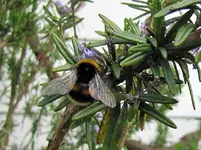 IMG_6299 v.webp