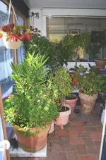 WiKa linke Seite voll_kleiner.webp