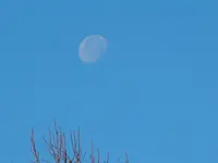 Mond023.webp