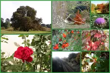 Herbst28.webp