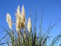 und Co...... (1).webp
